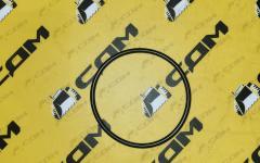 Кольцо шкворня 2.180-00437