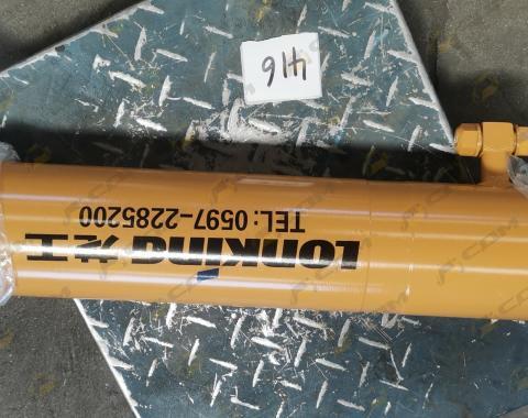 Цилиндр поворота CDM843/CDM853